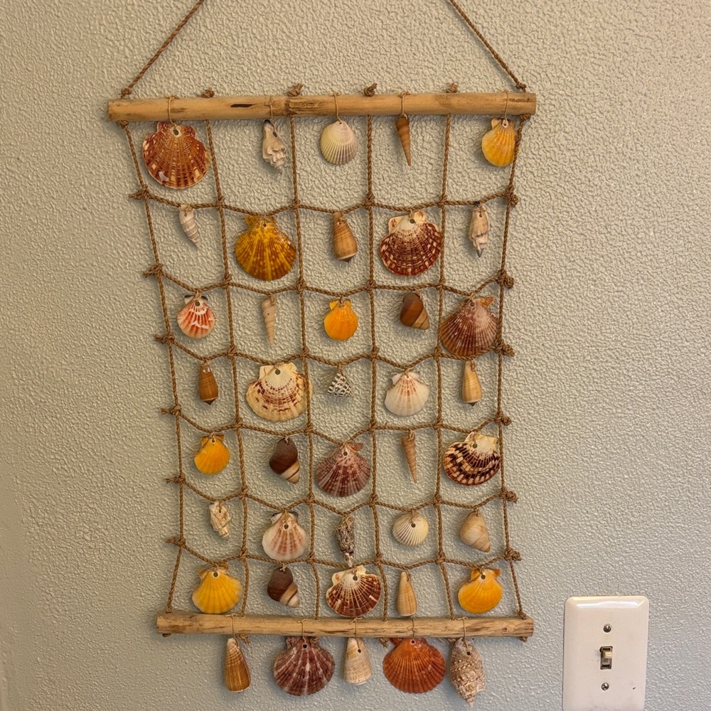 Seashell Wall Hanging Decor - Natural and Brown